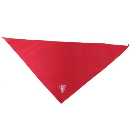 Foulard Biarritz Olympique